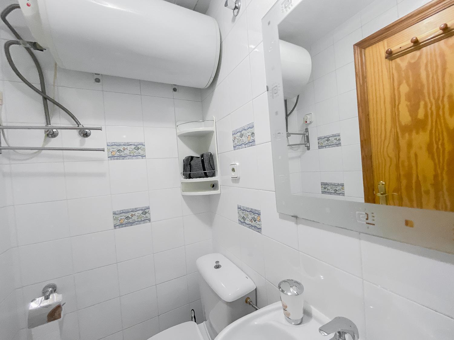 Estudio Plaza San Cristobal Daire Alicante Dış mekan fotoğraf